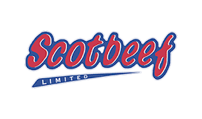 Engineering Manager