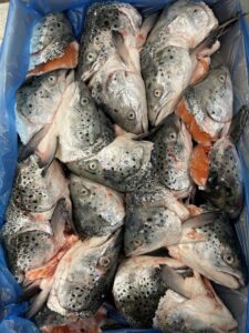 Salmon Heads 400g