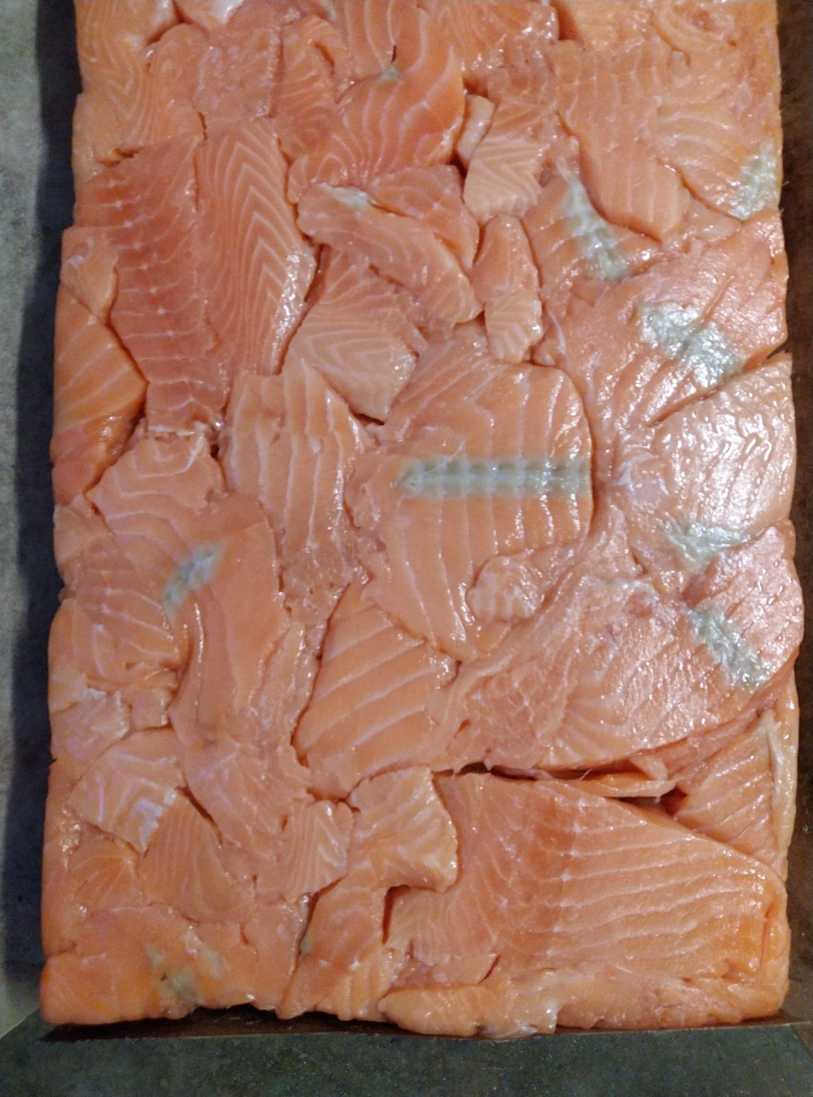 Salmon Fillet Blocks