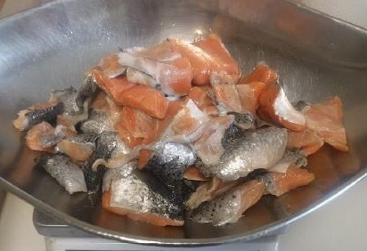 Salmon Pieces