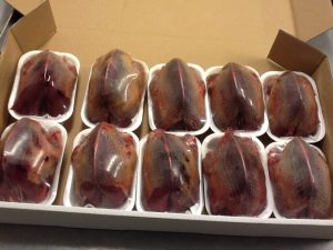 Grouse – Oven ready