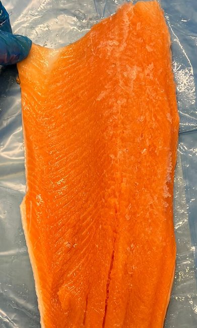 Salmon D Trim Fillets | from Meatex