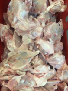 British Chicken Carcass