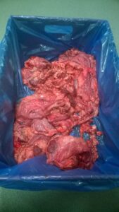 Beef Head and Neck Trim
