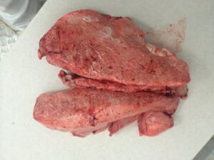 Frozen Lamb Lungs