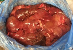Lamb Liver