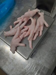 Chicken Paws AB grade
