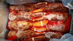 Whole Lobsters
