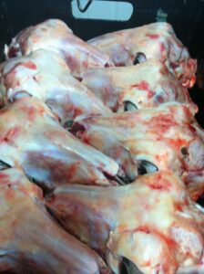 Lamb Heads