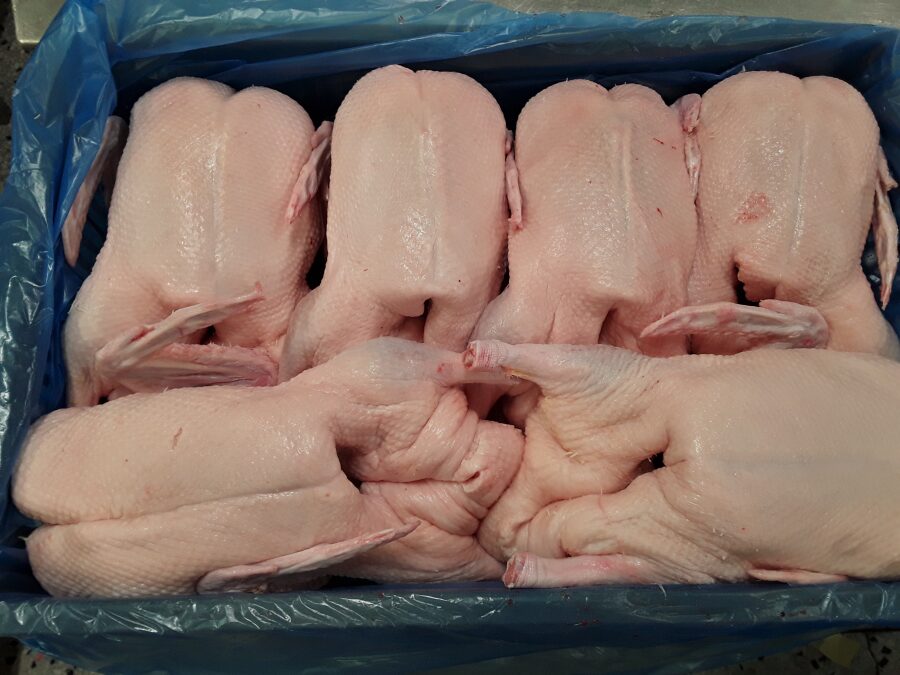 Pack of frozen whole ducks wholesale pallet