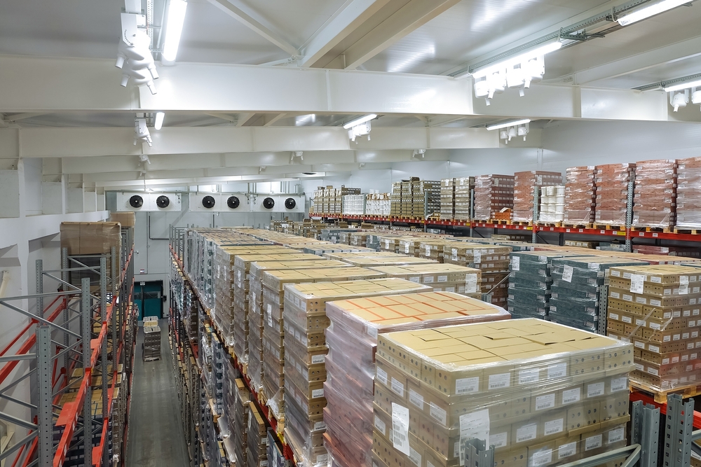 Industrial blast freezer with boxes of meat and seafood - Meatex
