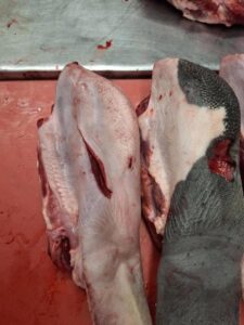 Ox Tongues | B Grade