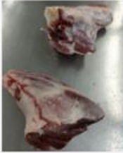 NZ Mutton Hind Shanks