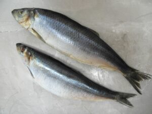 Whole Herrings